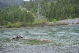 Army Corps improves Kootenai River habitat with second large wood placement