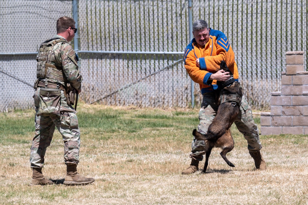 Leaders from the 412th Security Forces Squadron and 412th Civil Engineering Group visited the project site of a pivotal new development: the construction of ten new Military Working Dog kennels for the 412th Security Forces Squadron.