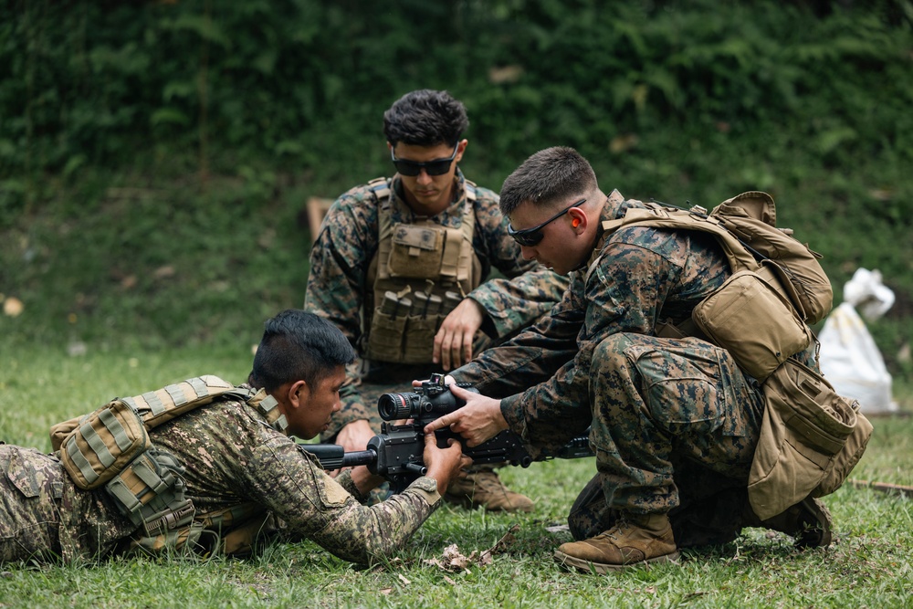 ACDC: CMP Range, weapons system SMEE