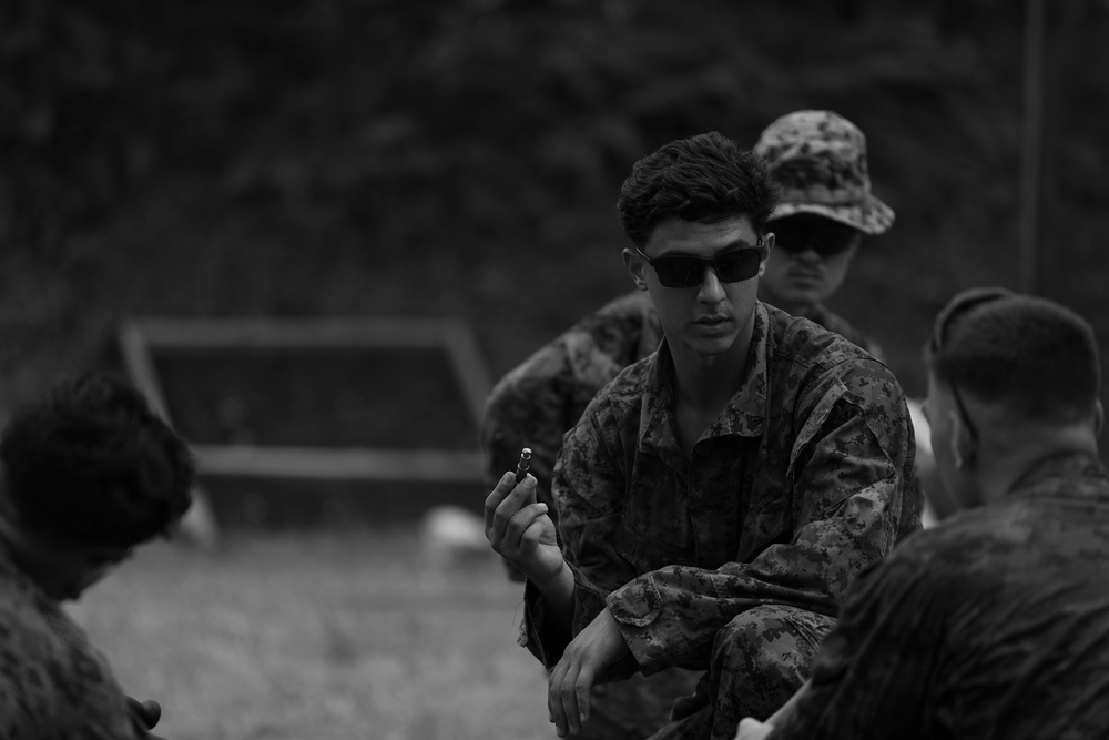 ACDC: CMP Range, weapons system SMEE