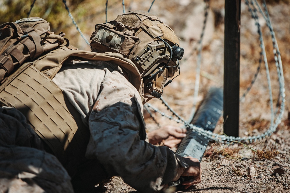 DVIDS - Images - 3rd LAR And 1st CEB Marines Conduct A Live-fire Demo ...