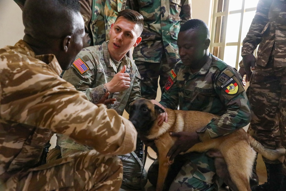 US, Ghana conduct medical readiness exercise at African Lion 2024