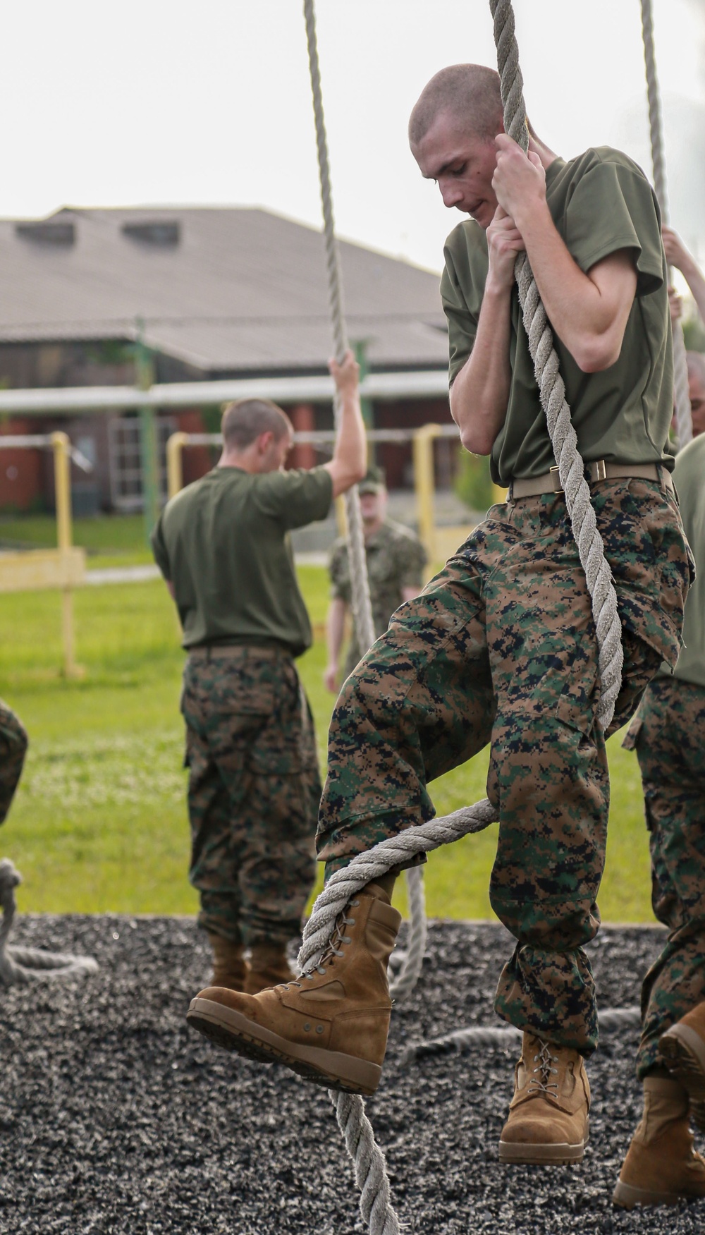 DVIDS - Images - Fox Company Physical Training [Image 3 of 8]