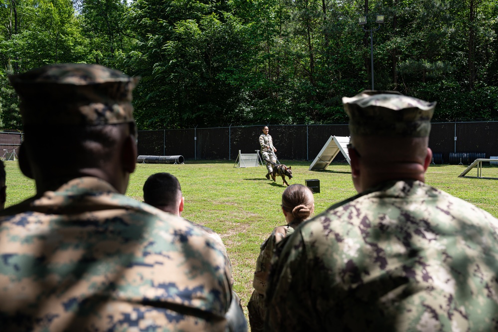 Joint NCO Week: Where Future Leaders Are Made