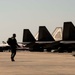 Fighters from Tyndall fly for Checkered Flag