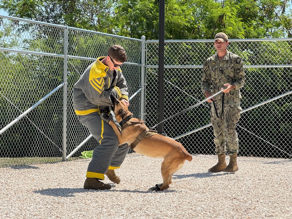 Naval Station Guantanamo Bay Opens New Veterinary Treatment Facility