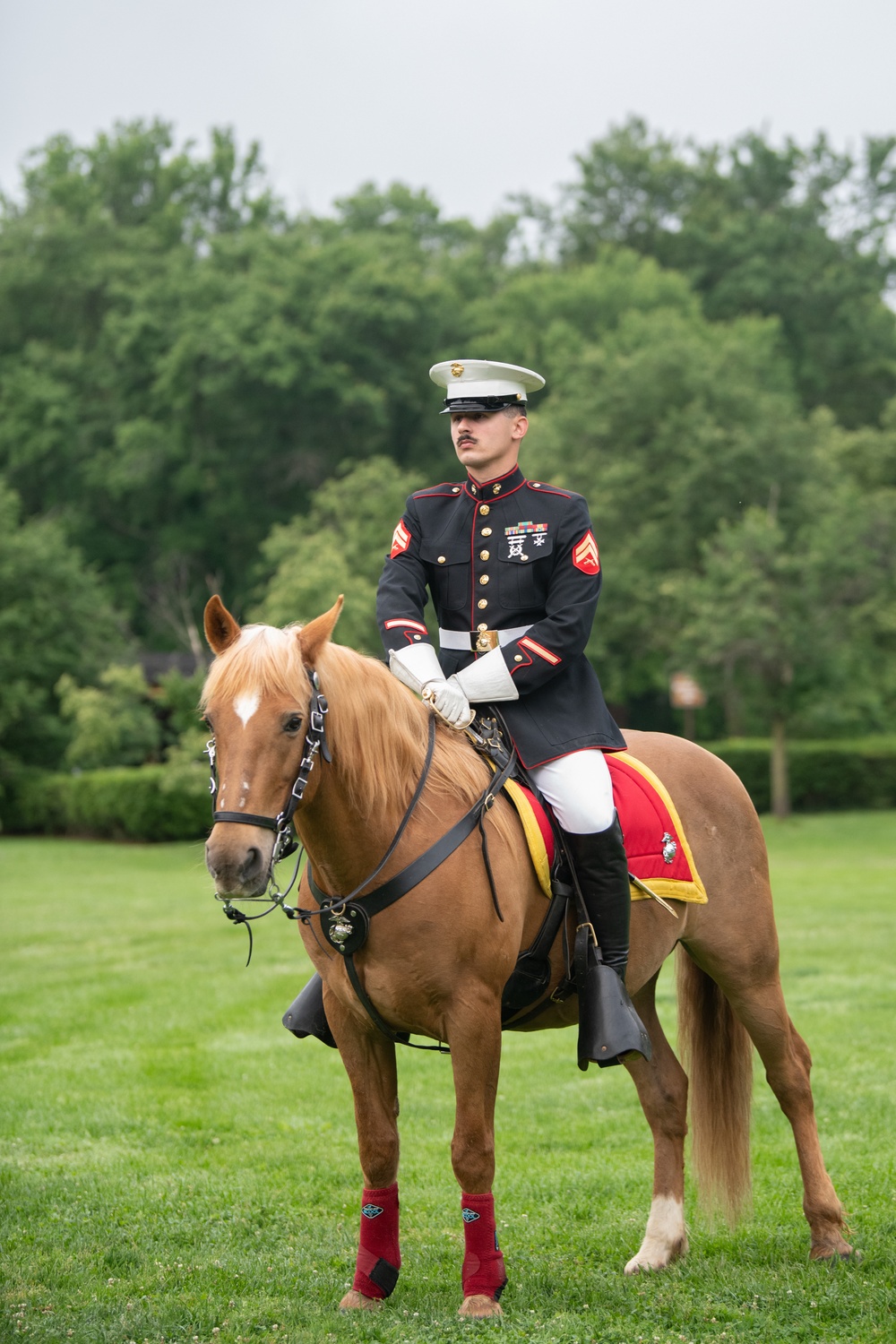 Marine Corps Mounted Color Guard East Coast Tour