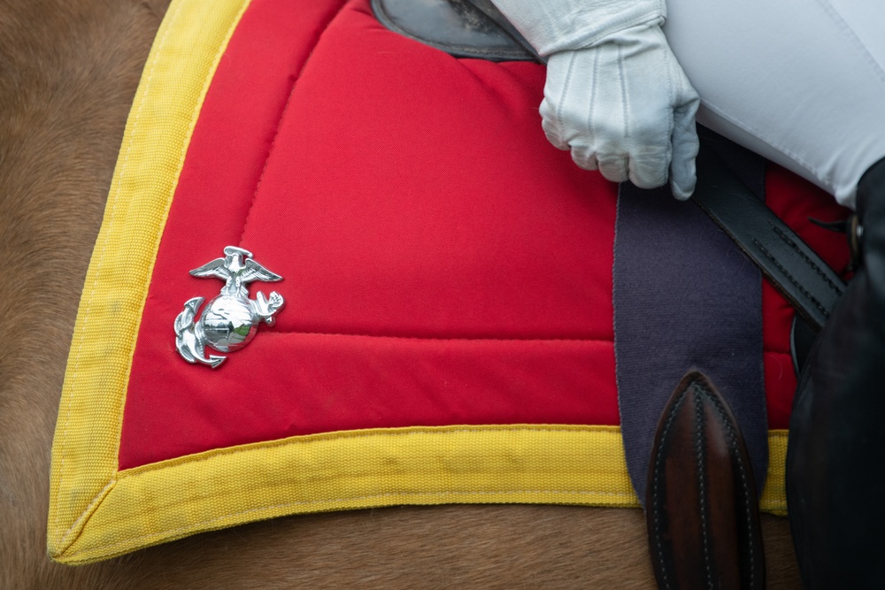 Marine Corps Mounted Color Guard East Coast Tour