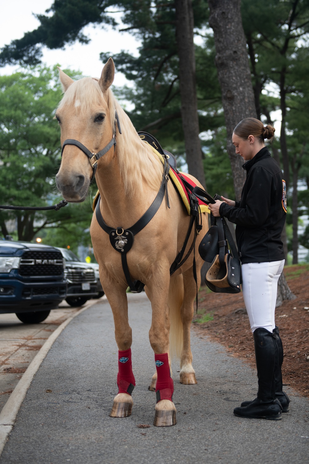 Marine Corps Mounted Color Guard East Coast Tour