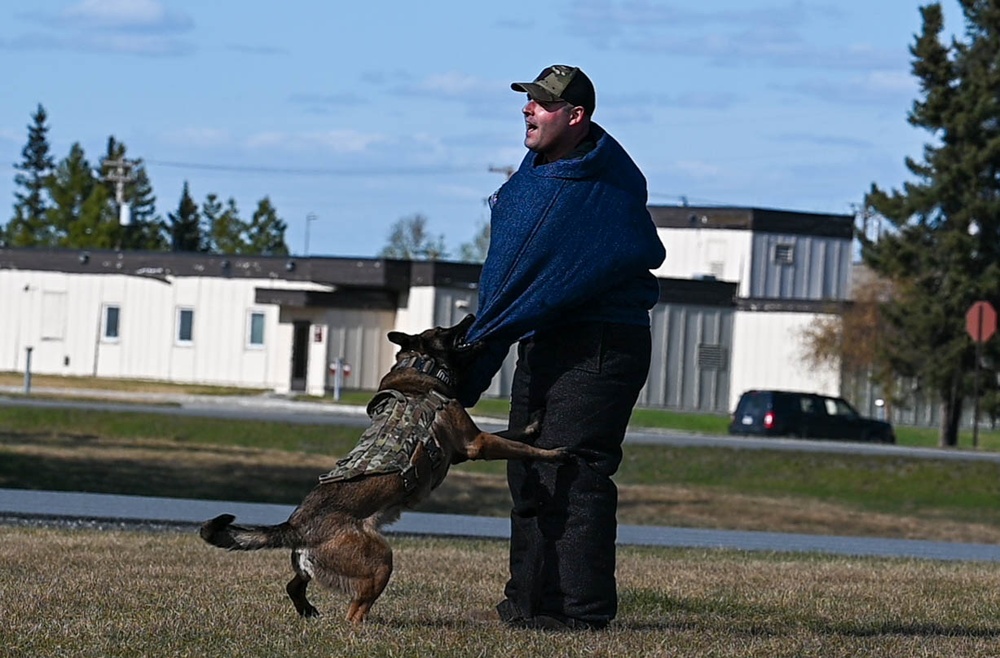 K-9 Demo during Police Week