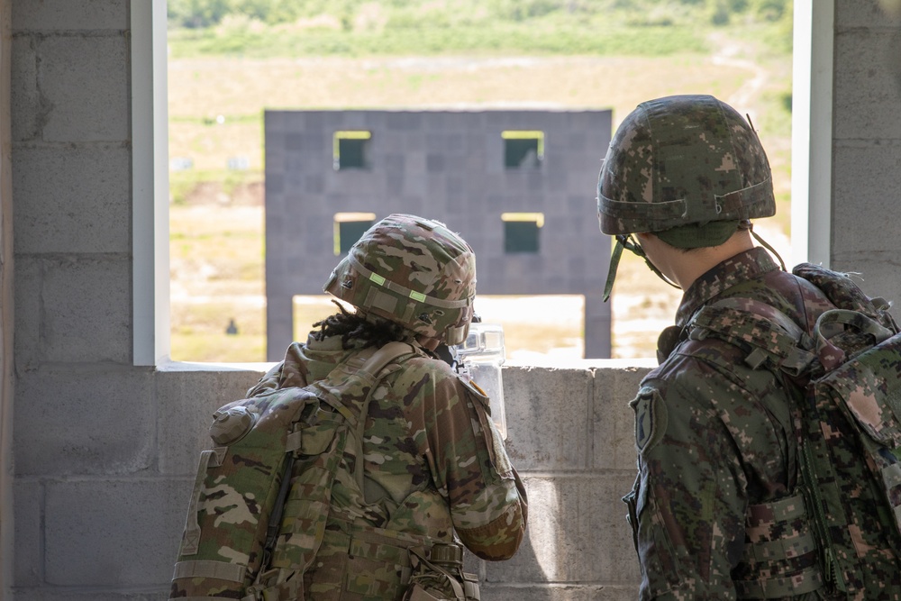 ROK-U.S. Combined Firearm Familiarization Training