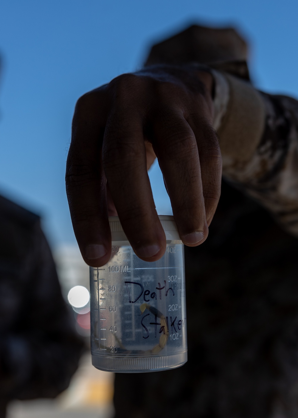 Maritime Combined Task Group Charlie: 4th Medical Battalion Trains Partner Nations