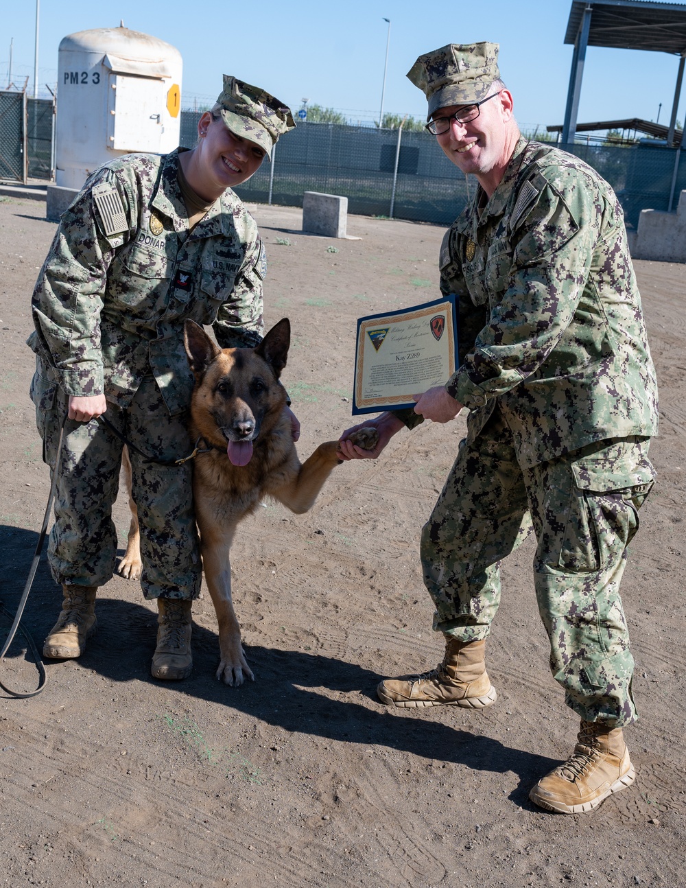 Military Working Dog Retires