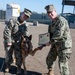 Military Working Dog Retires