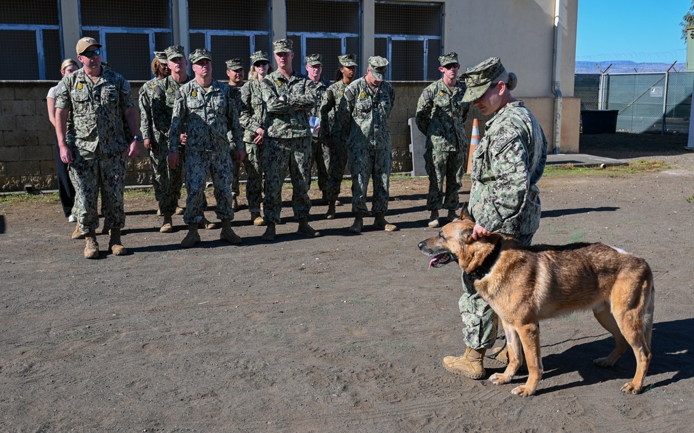 Military Working Dog Retires