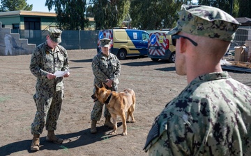 Military Working Dog Retires