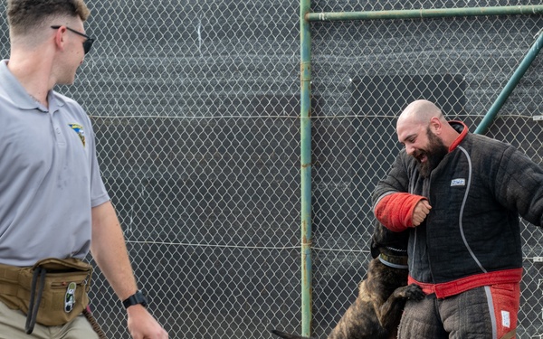 Camp Lemonnier Hosts the Plain White T’s