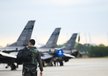 169th Fighter Wing participates in Sentry Savannah 2024