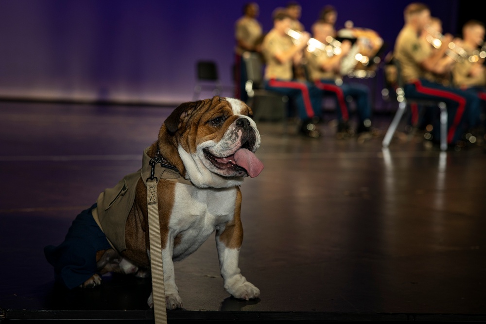 Bruno Supports LA Fleet Week