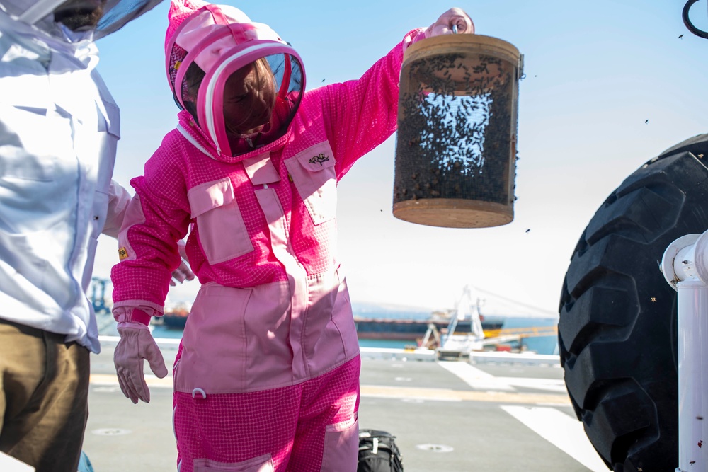 USS Tripoli's Cyber Officer Relocates Bees