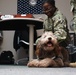 Therapy dog visits NWS Yorktown