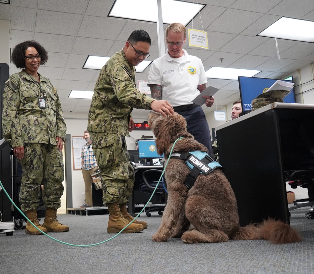 Therapy dog visits NWS Yorktown