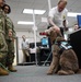 Therapy dog visits NWS Yorktown