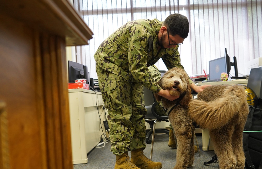 Therapy dog visits NWS Yorktown