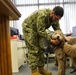 Therapy dog visits NWS Yorktown