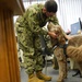 Therapy dog visits NWS Yorktown