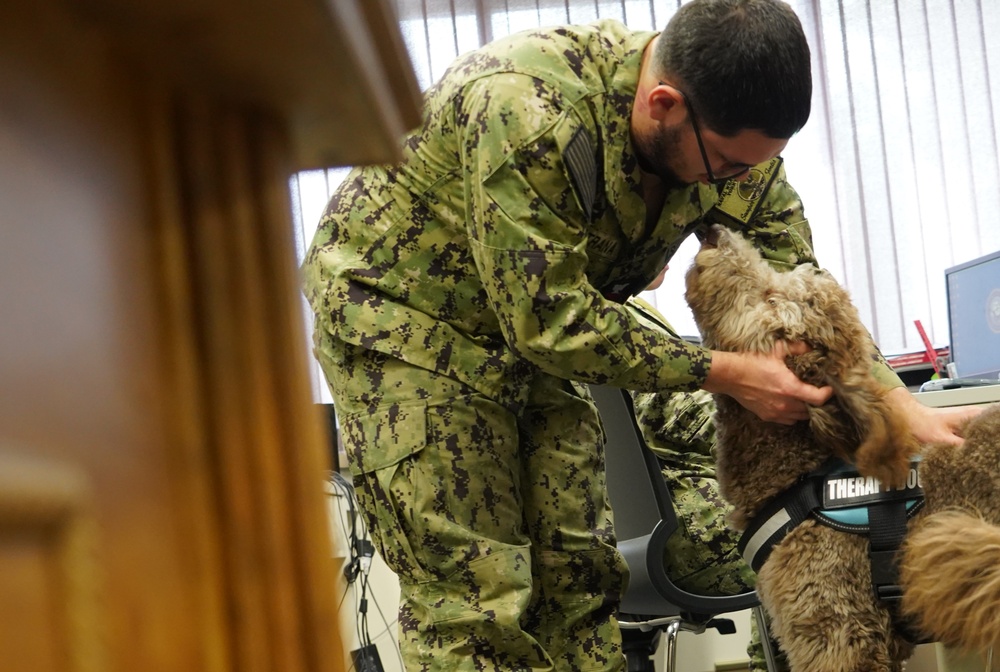 Therapy dog visits NWS Yorktown