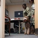 Therapy dog visits NWS Yorktown