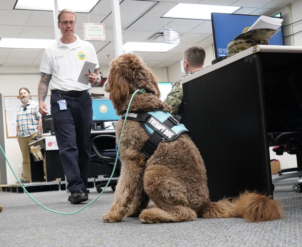 Therapy dog visits NWS Yorktown