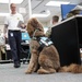 Therapy dog visits NWS Yorktown