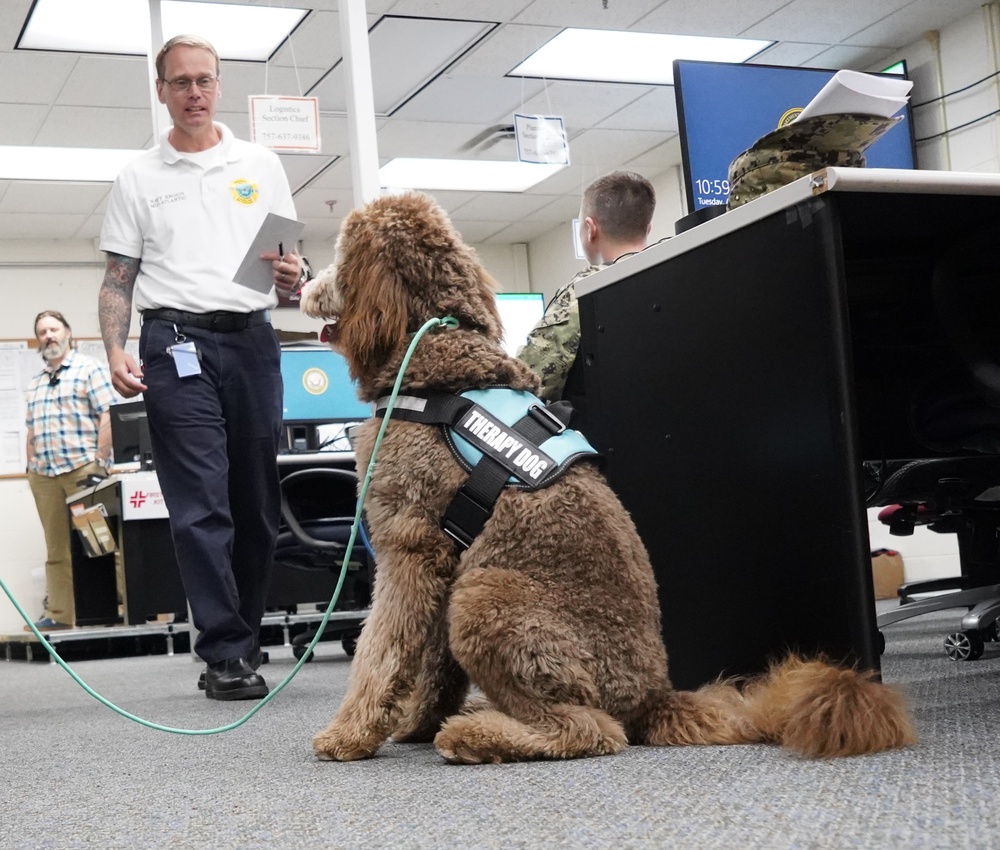 Therapy dog visits NWS Yorktown