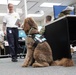 Therapy dog visits NWS Yorktown