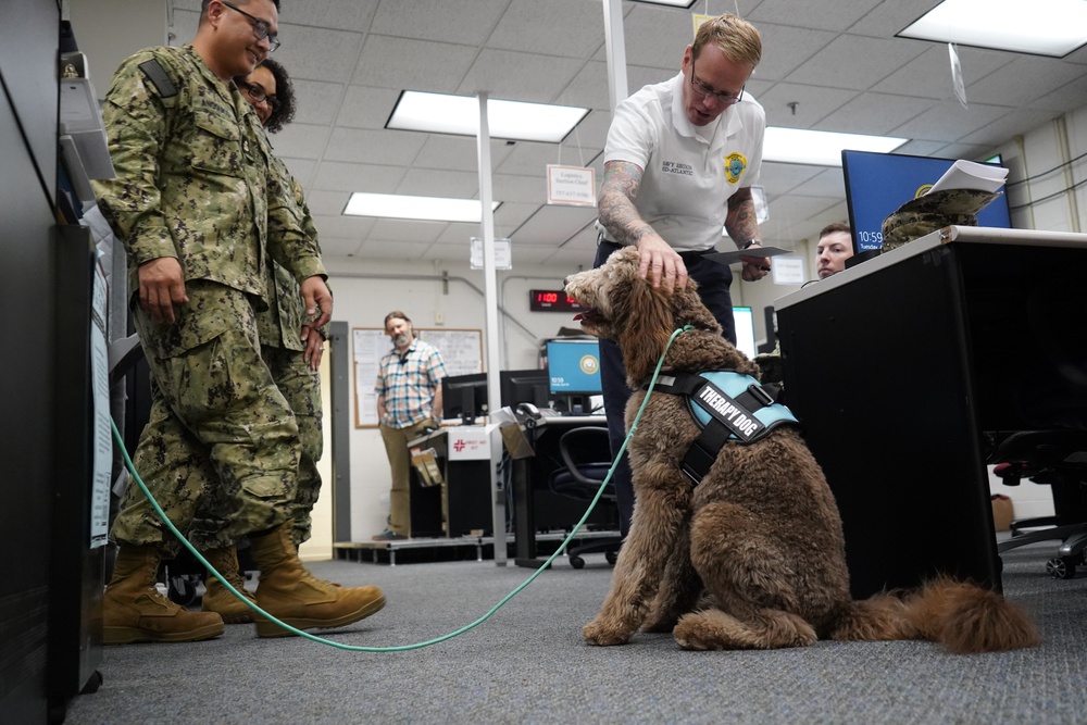 Therapy dog visits NWS Yorktown