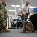 Therapy dog visits NWS Yorktown