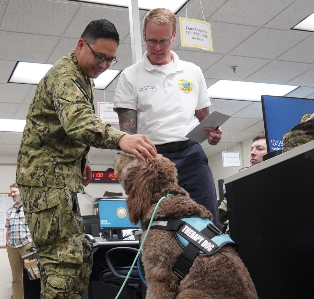 Therapy dog visits NWS Yorktown