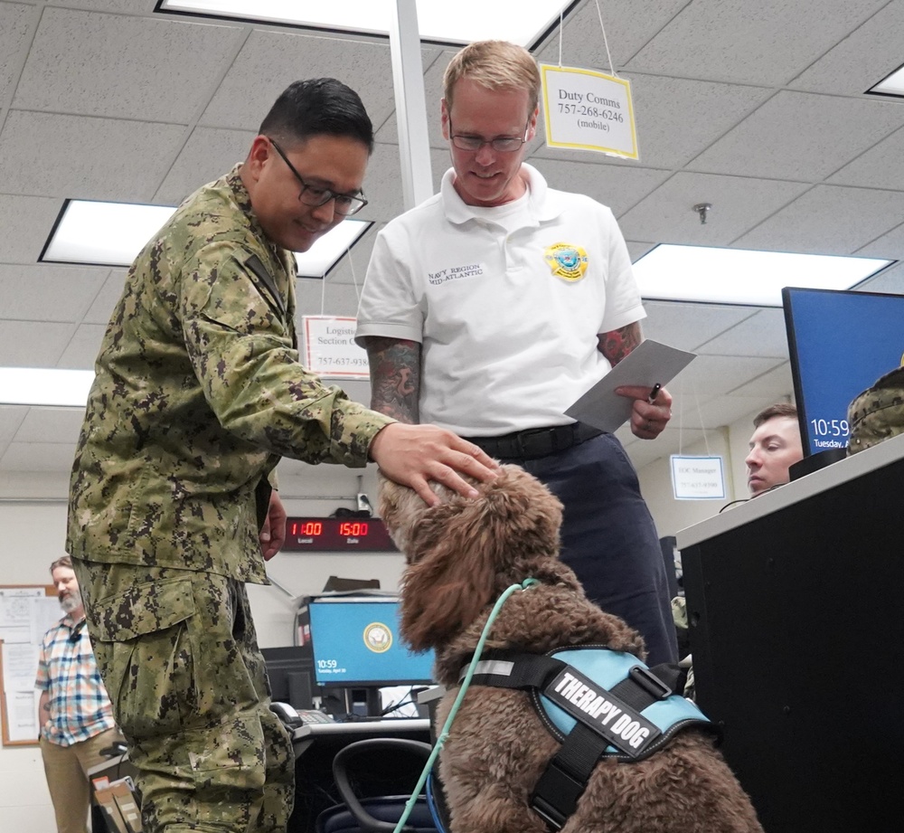 Therapy dog visits NWS Yorktown