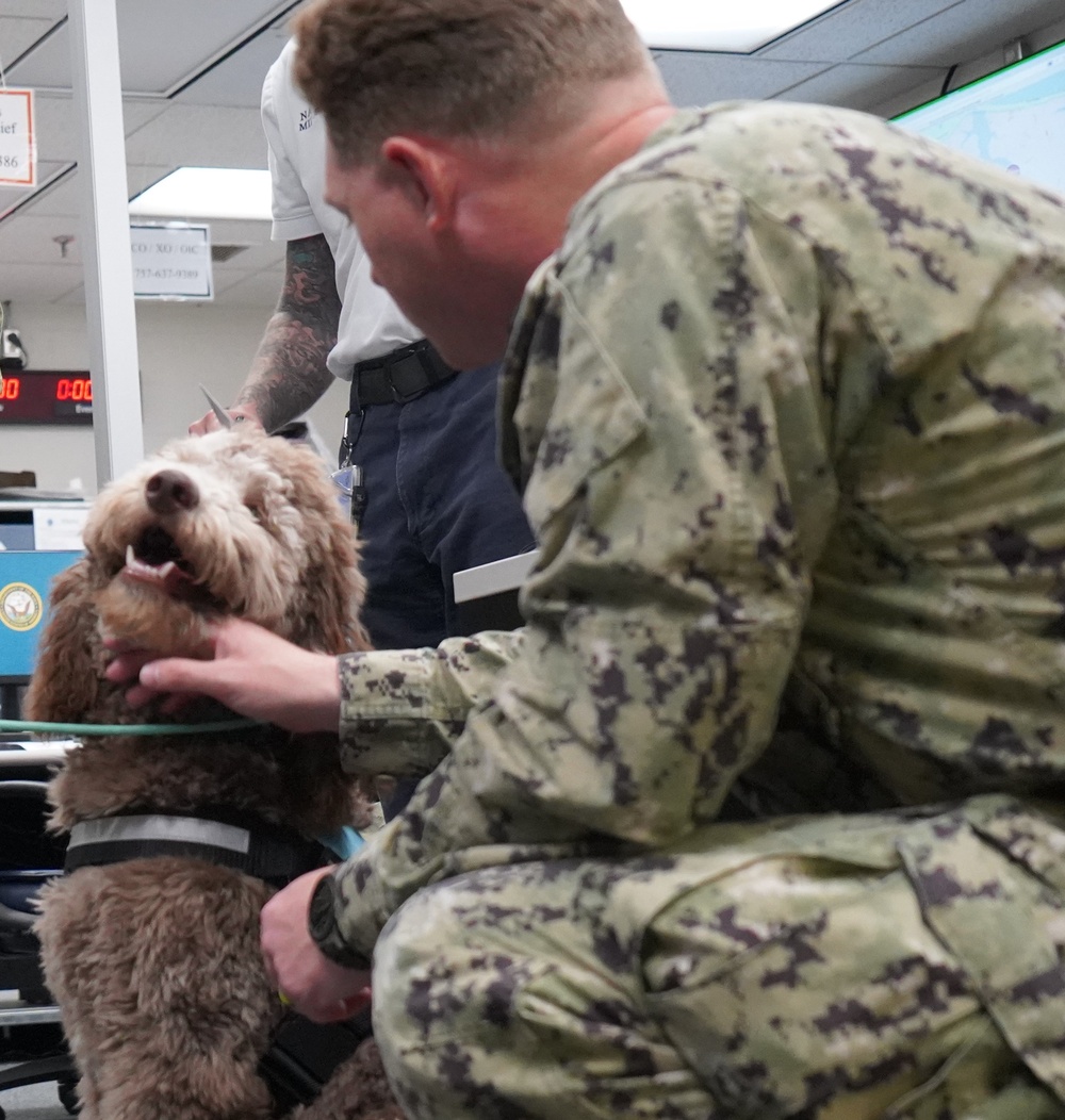 Therapy dog visits NWS Yorktown