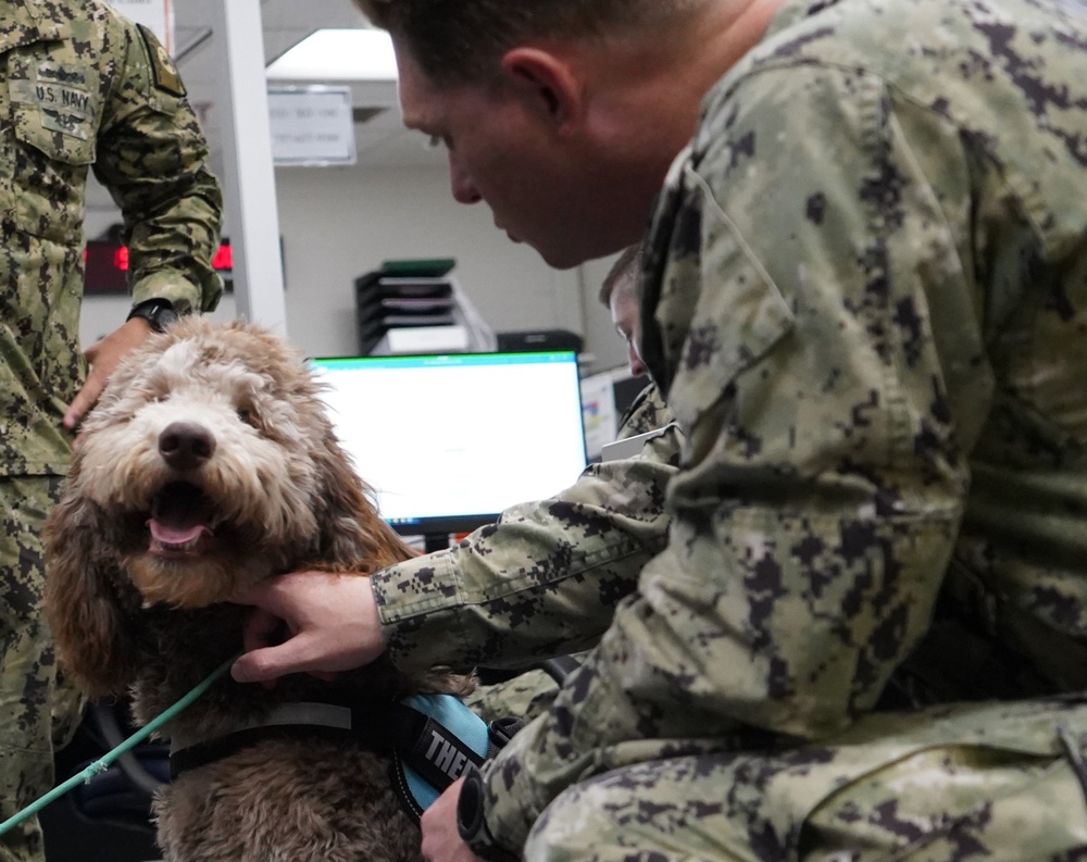 Therapy dog visits NWS Yorktown