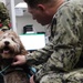 Therapy dog visits NWS Yorktown