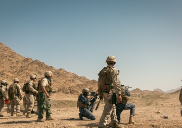 U.S. Marines with 4th CEB, Jordanian and Royal Saudi Armed Forces Conduct the Final Exercise of Eager Lion 2024