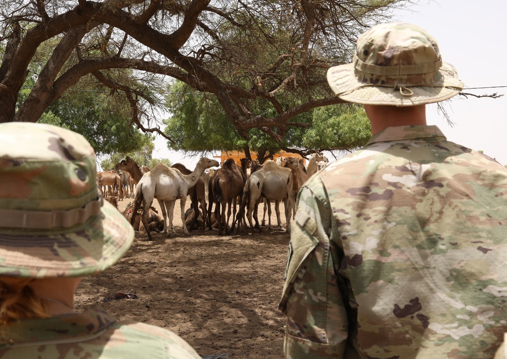 Armed Forces of Senegal host cultural tour in local village