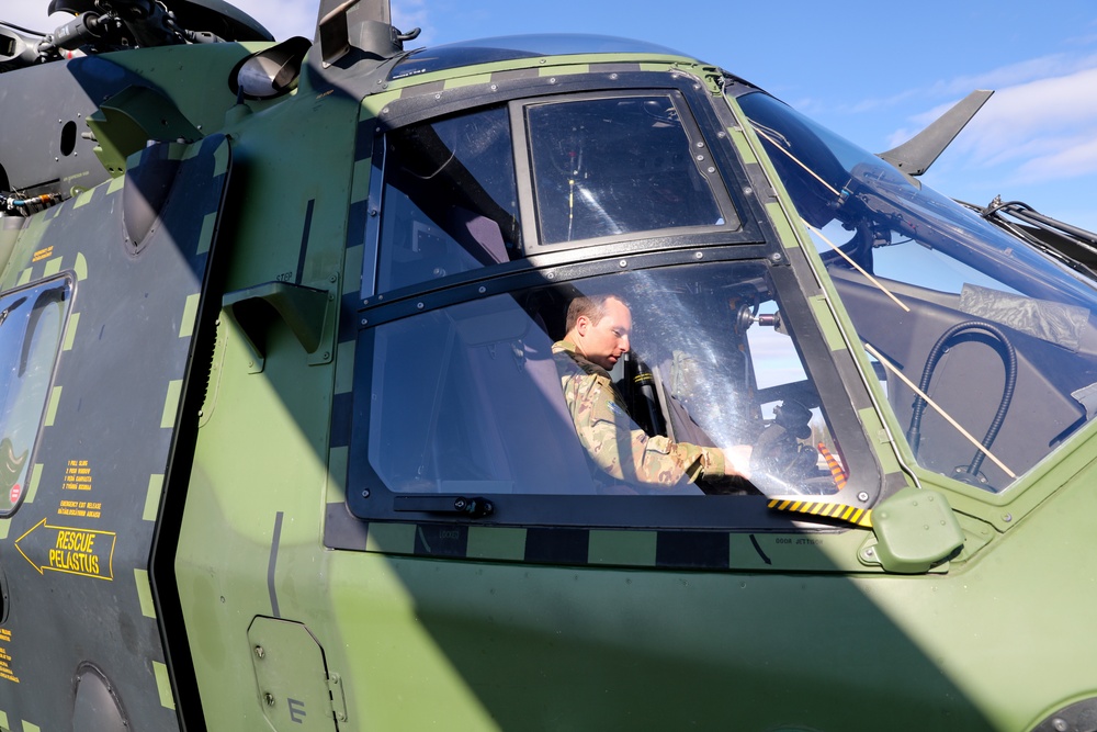 TaskForce Fighting Eagle Static Display