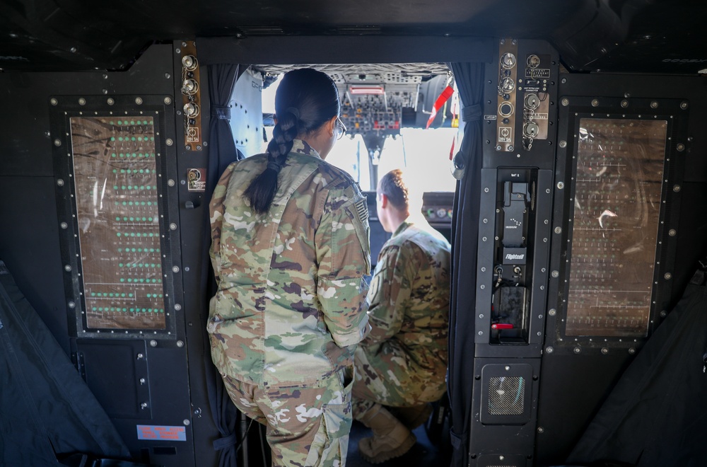 TaskForce Fighting Eagle Static Display