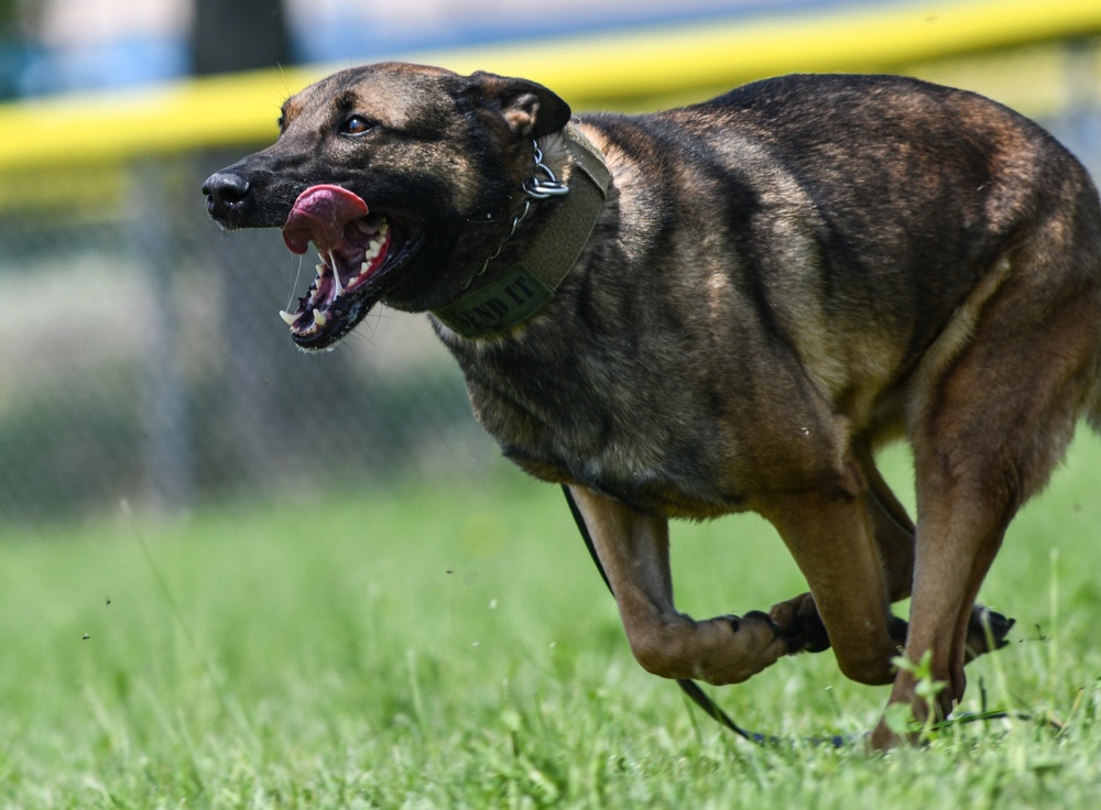 55th Security Forces honors National Police Week