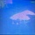 Coast Guard rescues 6, searches for 2 after vessel sinks near Bahamas