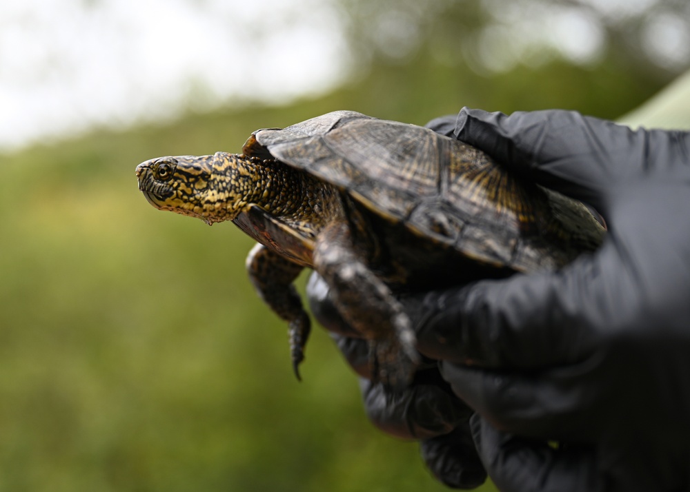 Preserving Nature, Empowering Launch